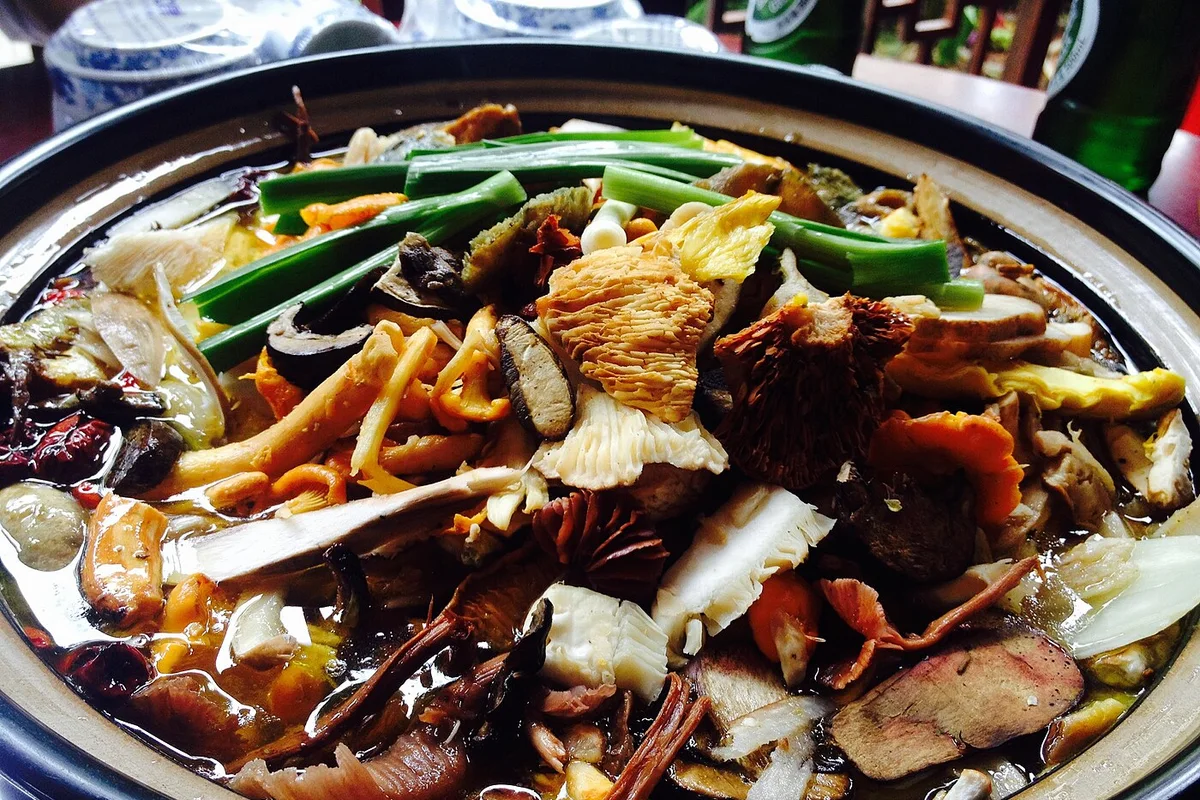 Yunnan wild mushroom hot pot